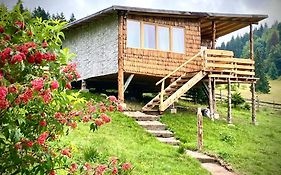 Harmonie Tree House Cotagges Chalet Predeal Trei Brazi