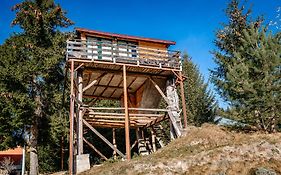 Harmonie Tree House Cotagges Chalet Predeal Trei Brazi